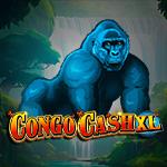 Congo Cash XL